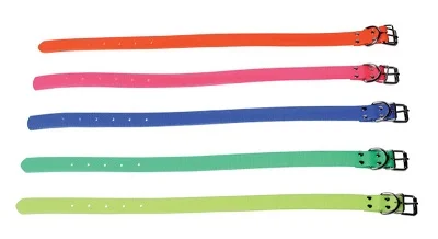 Collier Biothane Biogold 45 x 1,9 cm