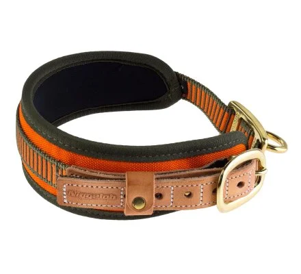 Collier chien de sang orange fluo NIGGELOH – Image 3