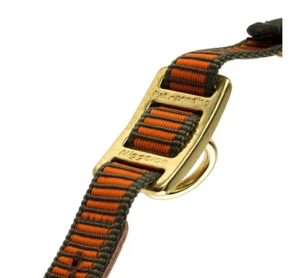 Collier chien de sang orange fluo NIGGELOH – Image 4