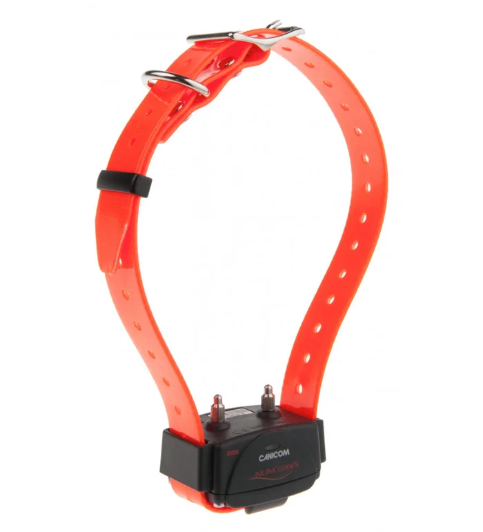 Collier d’éducation Canicom seul