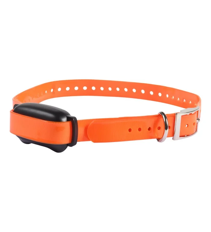 Collier de dressage 600 m Pro Hunt