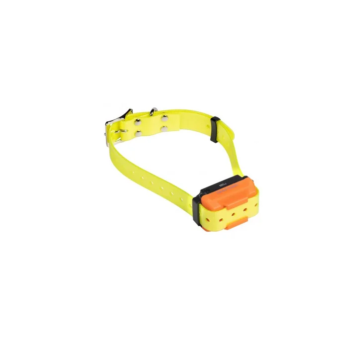 Collier de Dressage