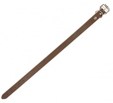 Collier pour chien en cuir cousu