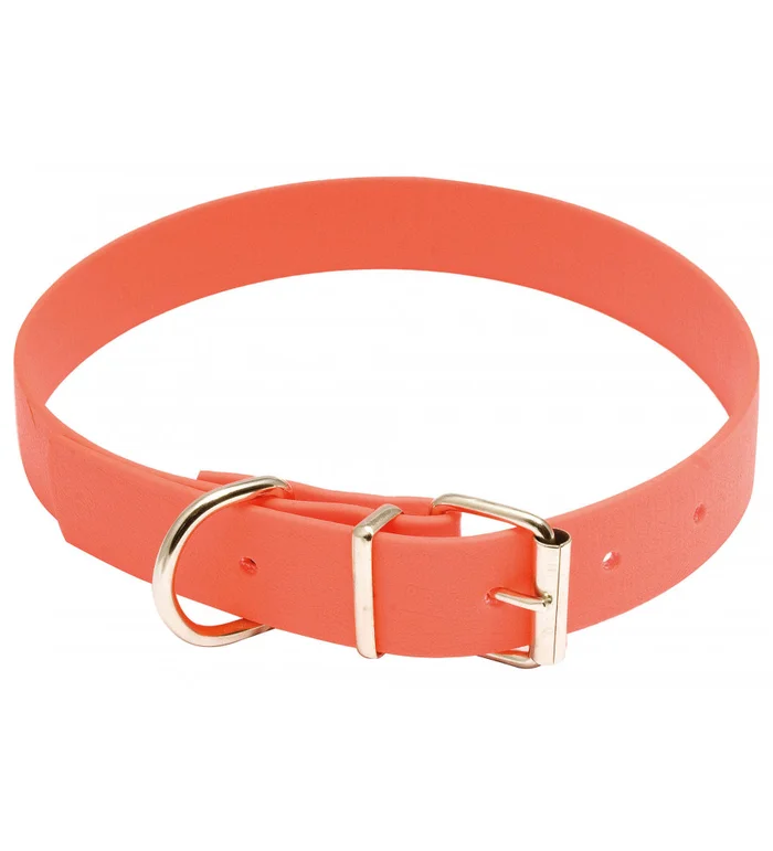 Collier pour chien polyuretane orange fluo – Country