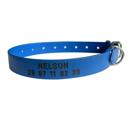 Collier PVC gravé bleu