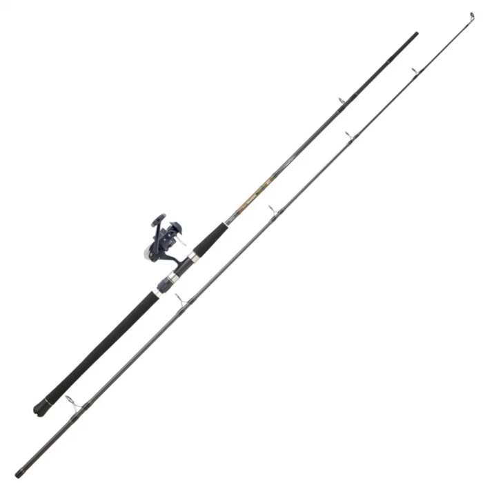 Combo Spinning Daiwa Set Silure 06
