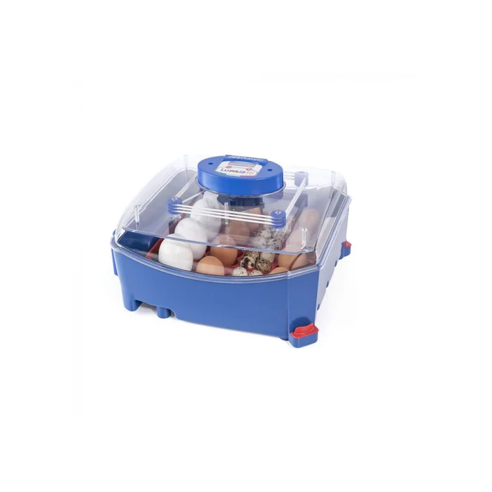 Couveuse Automatique Borotto Lumia 16 Oeufs