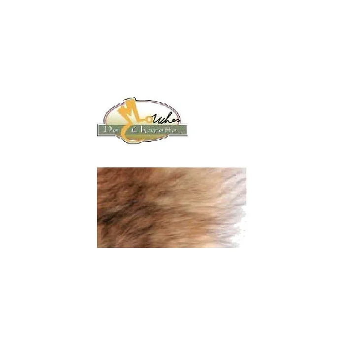 COYOTE JMC DE CHARETTE