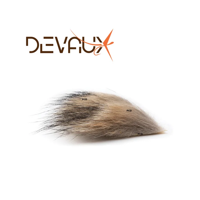 COYOTTE DEVAUX