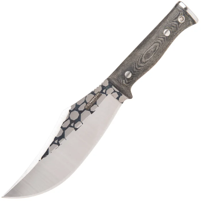 CTK2015675HC – Condor Gryphus Bowie