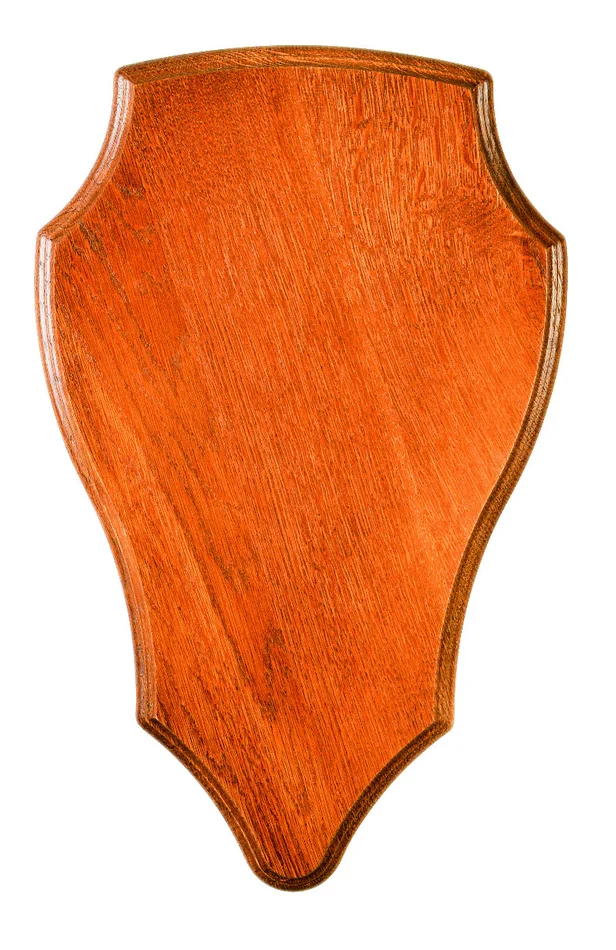 ECUSSON CHNE DORE CERF 42×28 CM