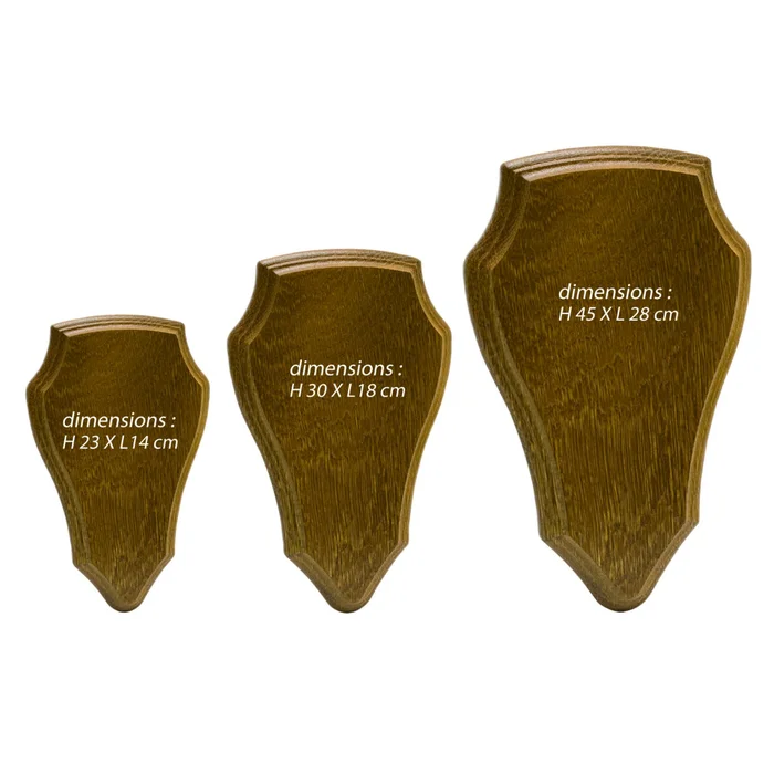 Écussons en Chêne pour Trophées de Chevreuil et Cerf