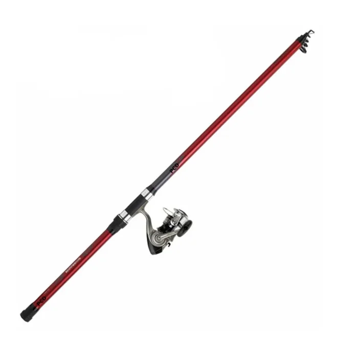 Ensemble Carnassier Daiwa Sweepfire Télé Pike 01