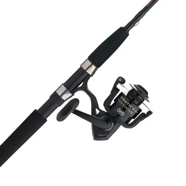 Ensemble moulinet spinning PENN Wrath II – WRTHII6000902MH