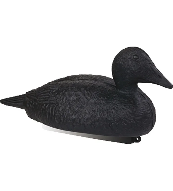 Forme d&rsquo;eider noir Stepland