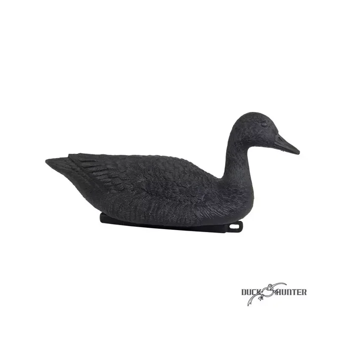 Forme d’oie noire flottante