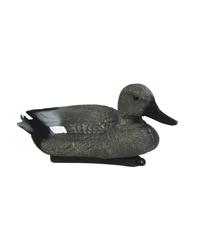Forme de canard chipeau male Stepland