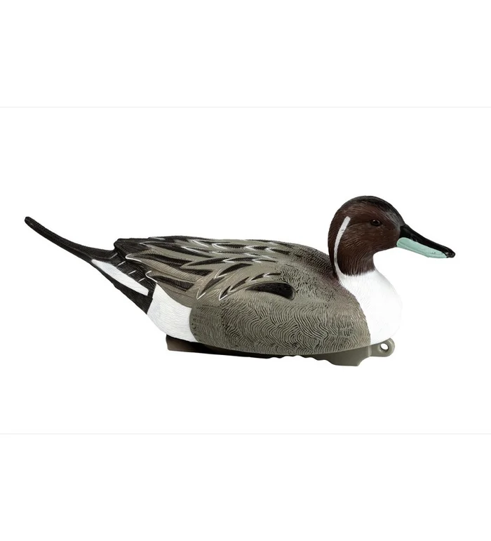Forme de canard pilet male HD Stepland