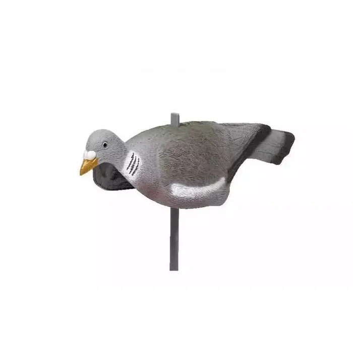 Forme de pigeon coquille