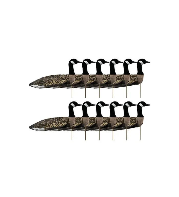 Forme manche à air FlockSox bernache du canada active x12