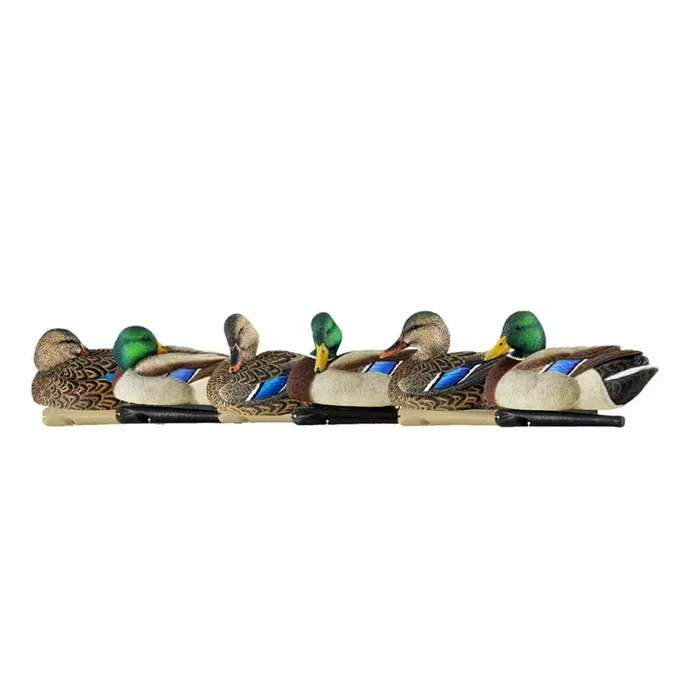 Formes de colvert AvianX Repos et actifs HD