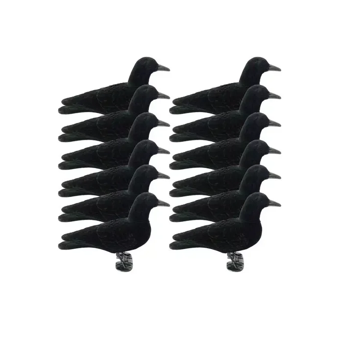 Formes de corbeau tête amovible floquées x12