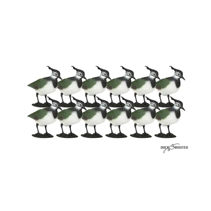 Formes de vanneau x12