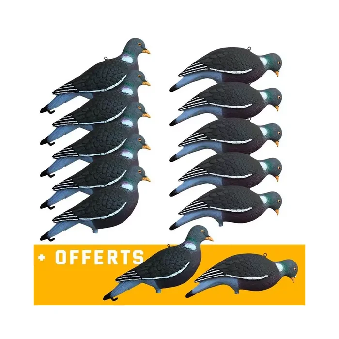 Formes Vision Pigeon HD UV x10 + 2 offertes