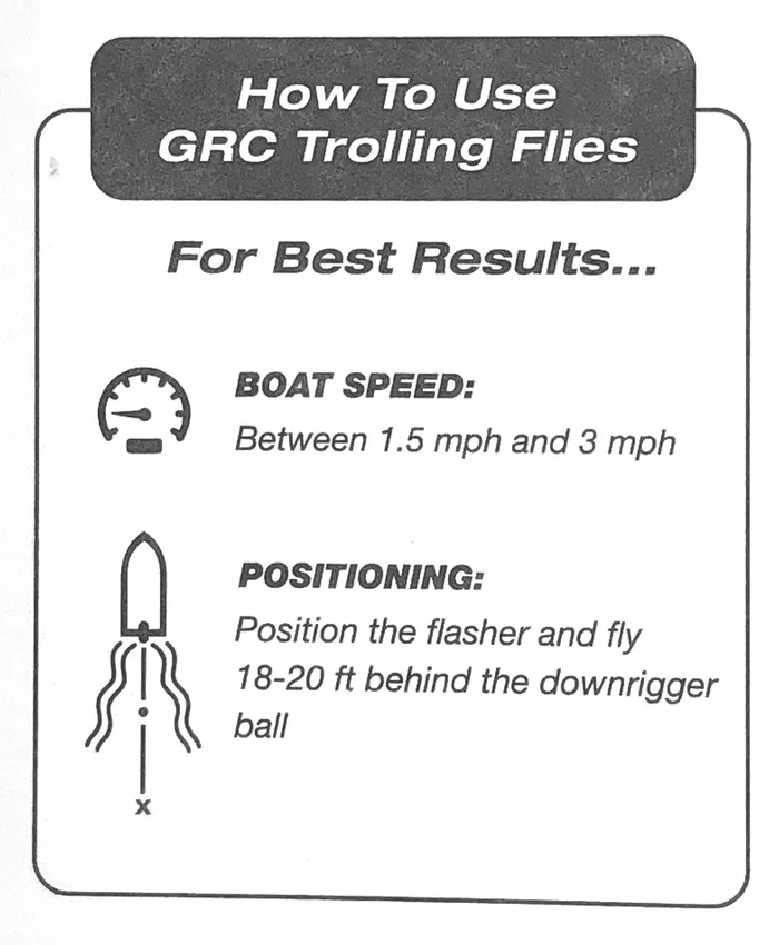 GRC Trolling Flies – 15 cm avec E-Chip – Maître d’école – Image 2
