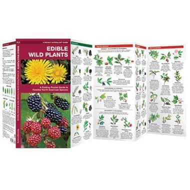 Guide de poche des plantes sauvages comestibles