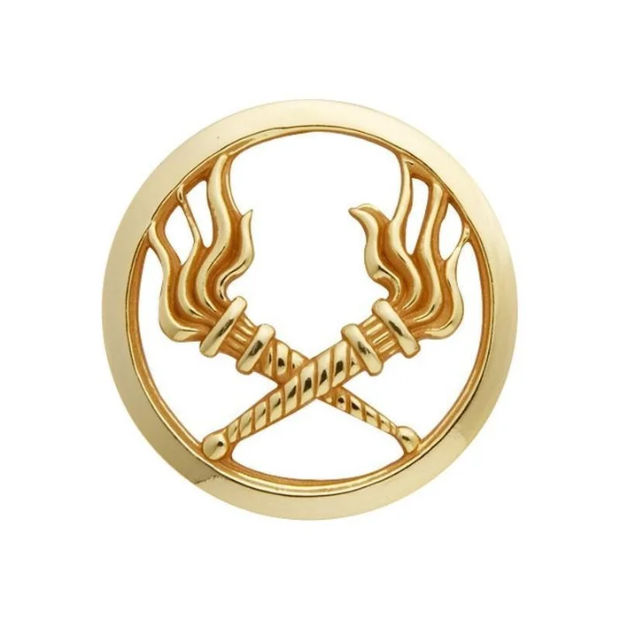Insigne de béret Or Service des Essences