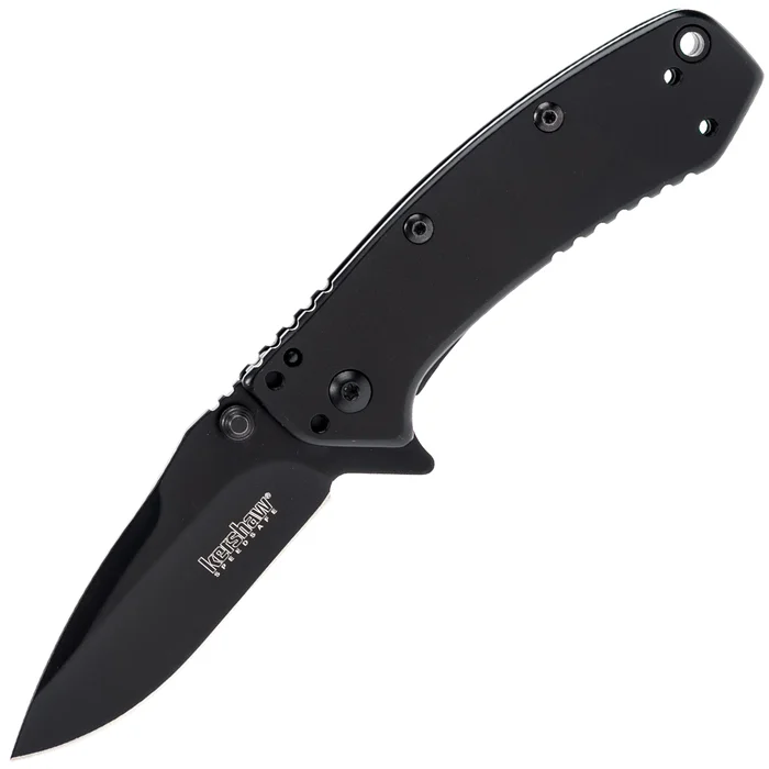 KS1555BLK – Kershaw Cryo Black