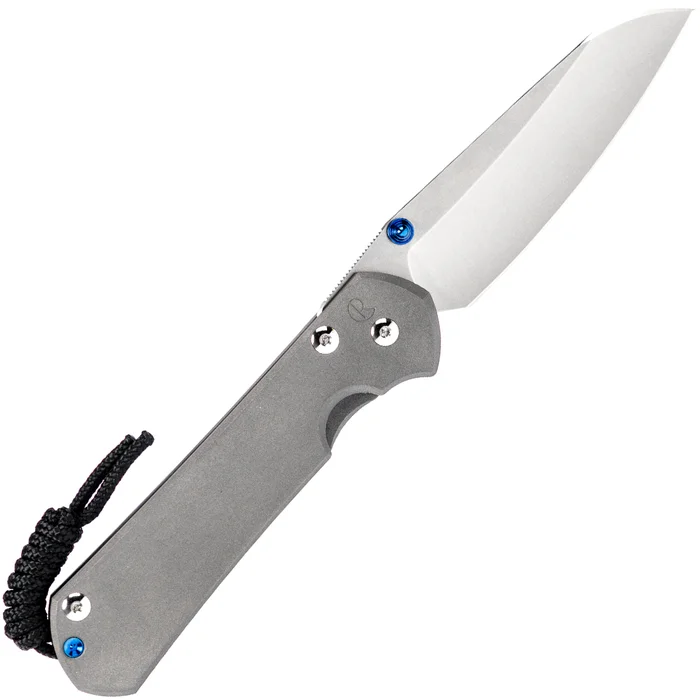 L31-1009 – Chris Reeve Large Sebenza 31 LH Insingo