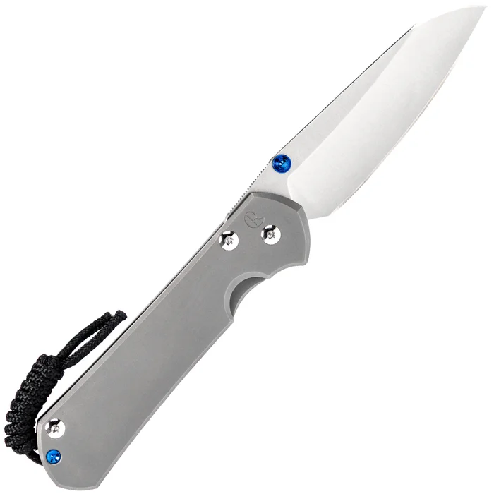 L31-1686 – Chris Reeve Large Sebenza 31 LH Insingo Glass Blasted