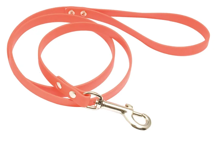 Laisse 1,20 m Biothane orange fluo pour chien – Country
