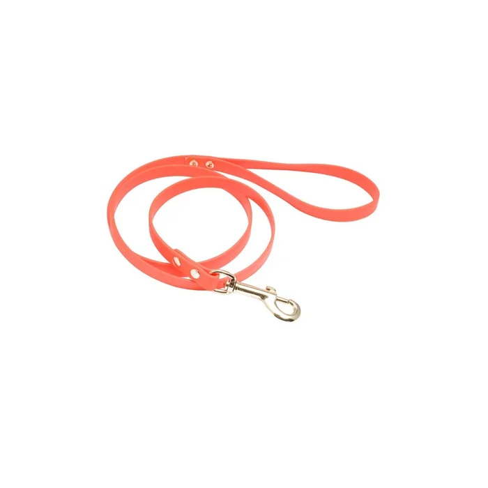 Laisse Biothane 1,20m orange fluo
