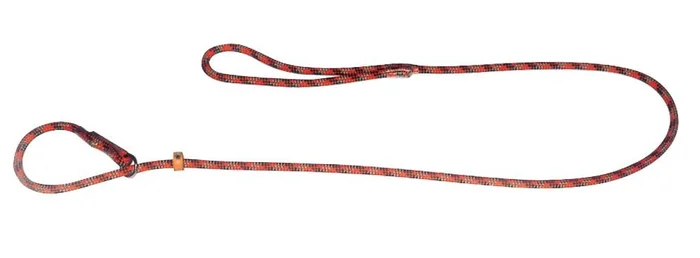 Laisse collier de dresseur