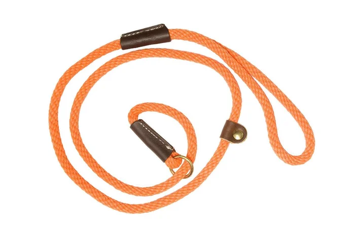 Laisse de dressage orange