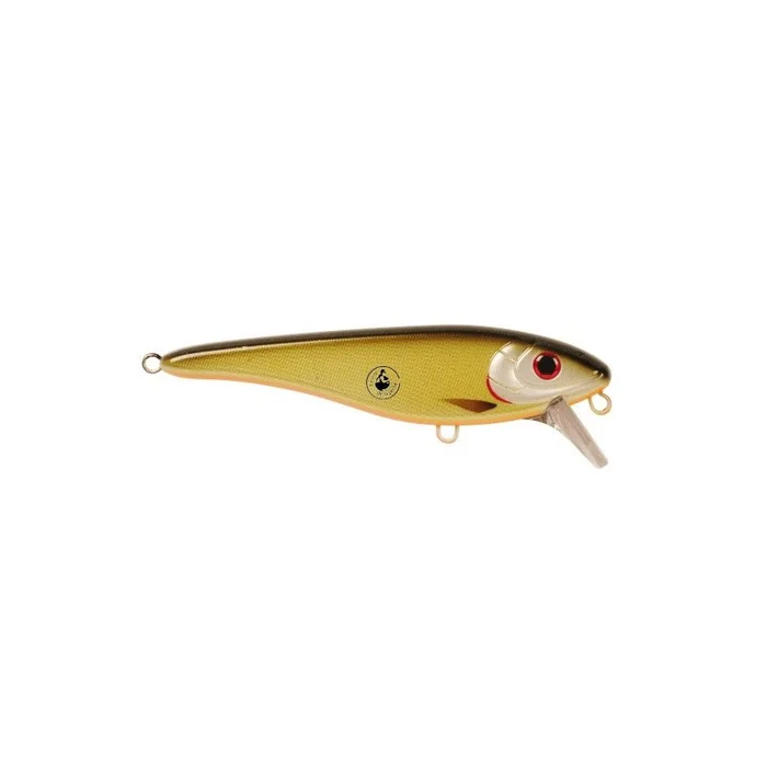 Leurre CWC Bandit Crankbait 20cm