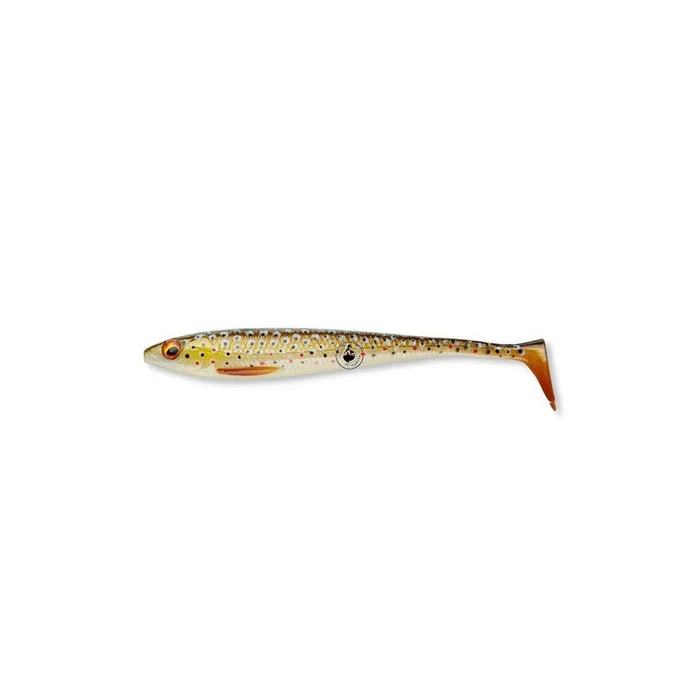 Leurre Souple Daiwa Duck Fin Shad 20cm