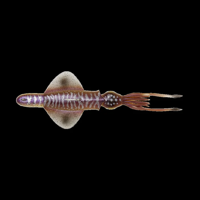 Leurre Souple Savage Gear Swim Squid RTF 18cm