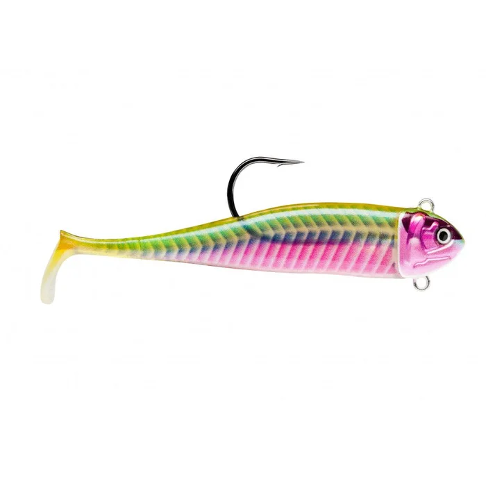 Leurre Souple Storm Biscay Coast Minnow 12cm
