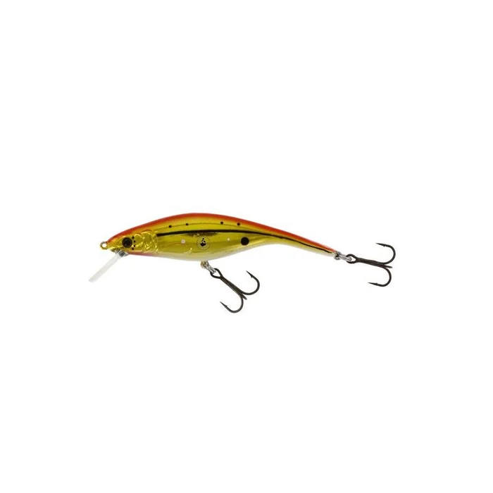 Leurre Westin Platypus DR 100mm