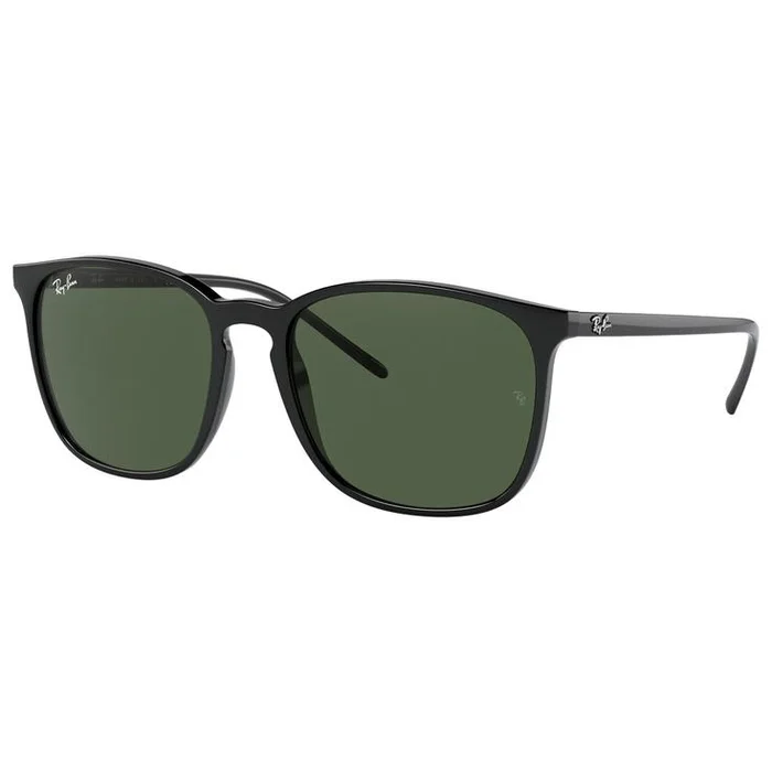 Lunettes de soleil Ray Ban RB4387 Polished Black Green G-15