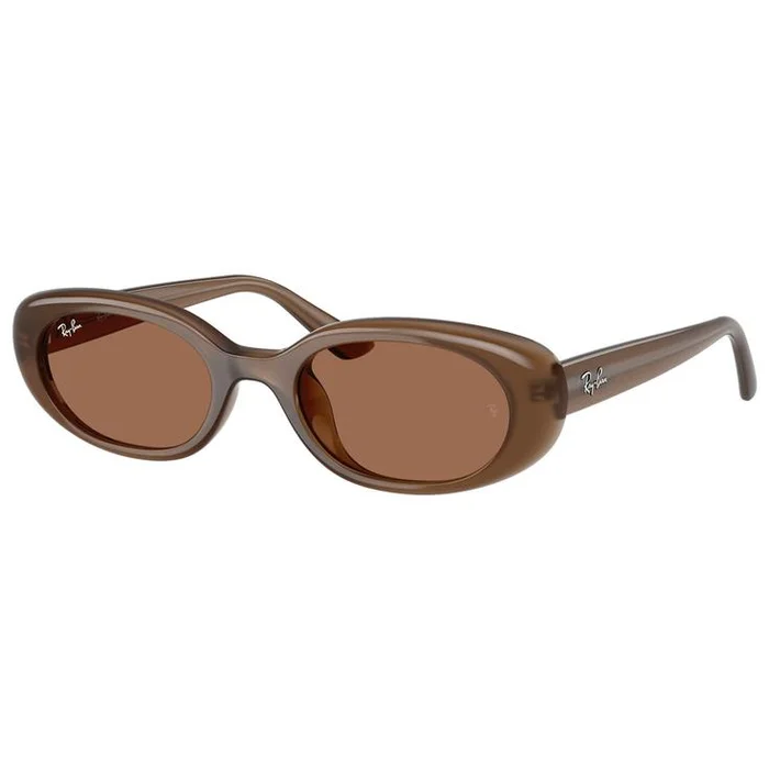 Lunettes de soleil Ray Ban RB4441D Matte Brown Opaline Dark Brown