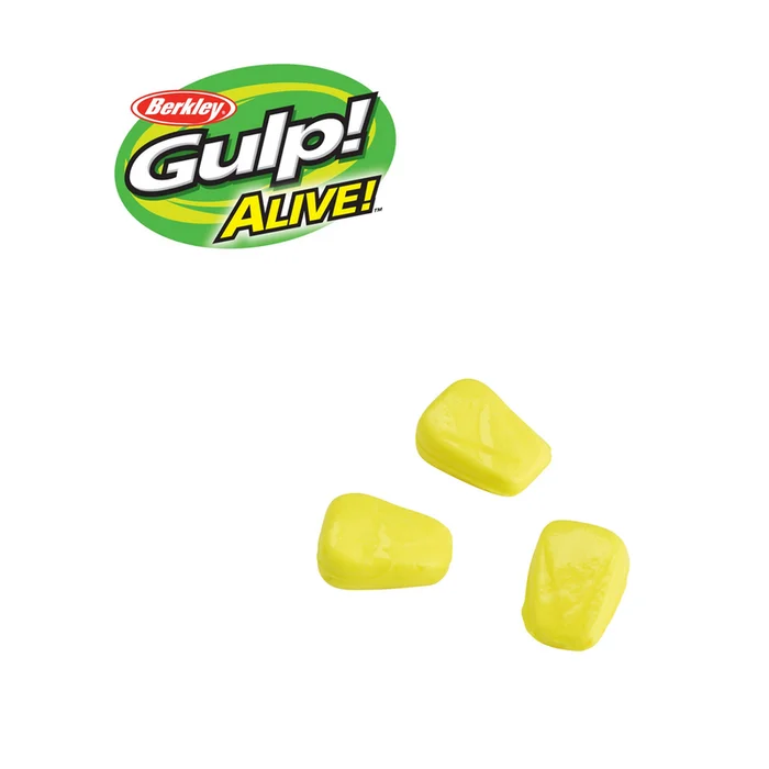 MAÏS FLOTTANT GULP ALIVE