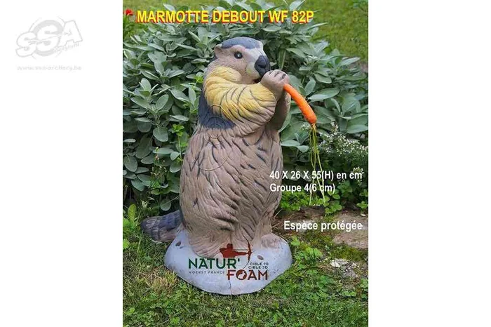 MARMOTTE STANDING NF