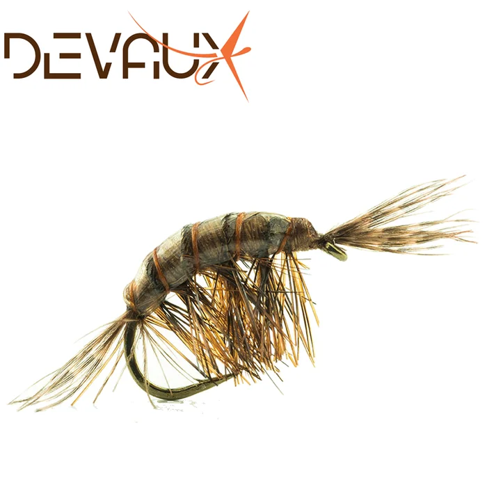 MOUCHE DEVAUX GAMMARE JBGL10 PAR 3