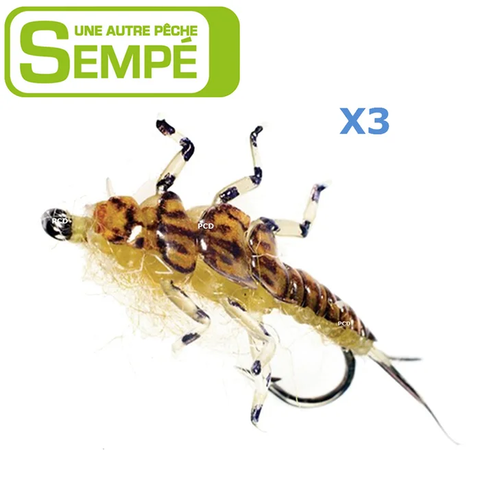MOUCHE SEMPE NYMPHE PATRAQUE MARRON NON LESTEE H10 PAR 3