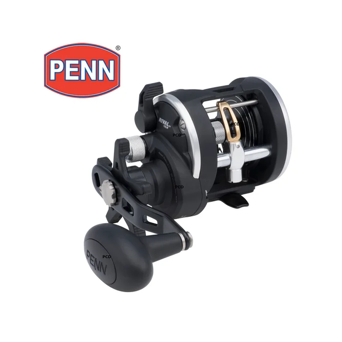 MOULINET MER TRAINE PENN RIVAL LEVEL WIND 30 LWLC DROITIER